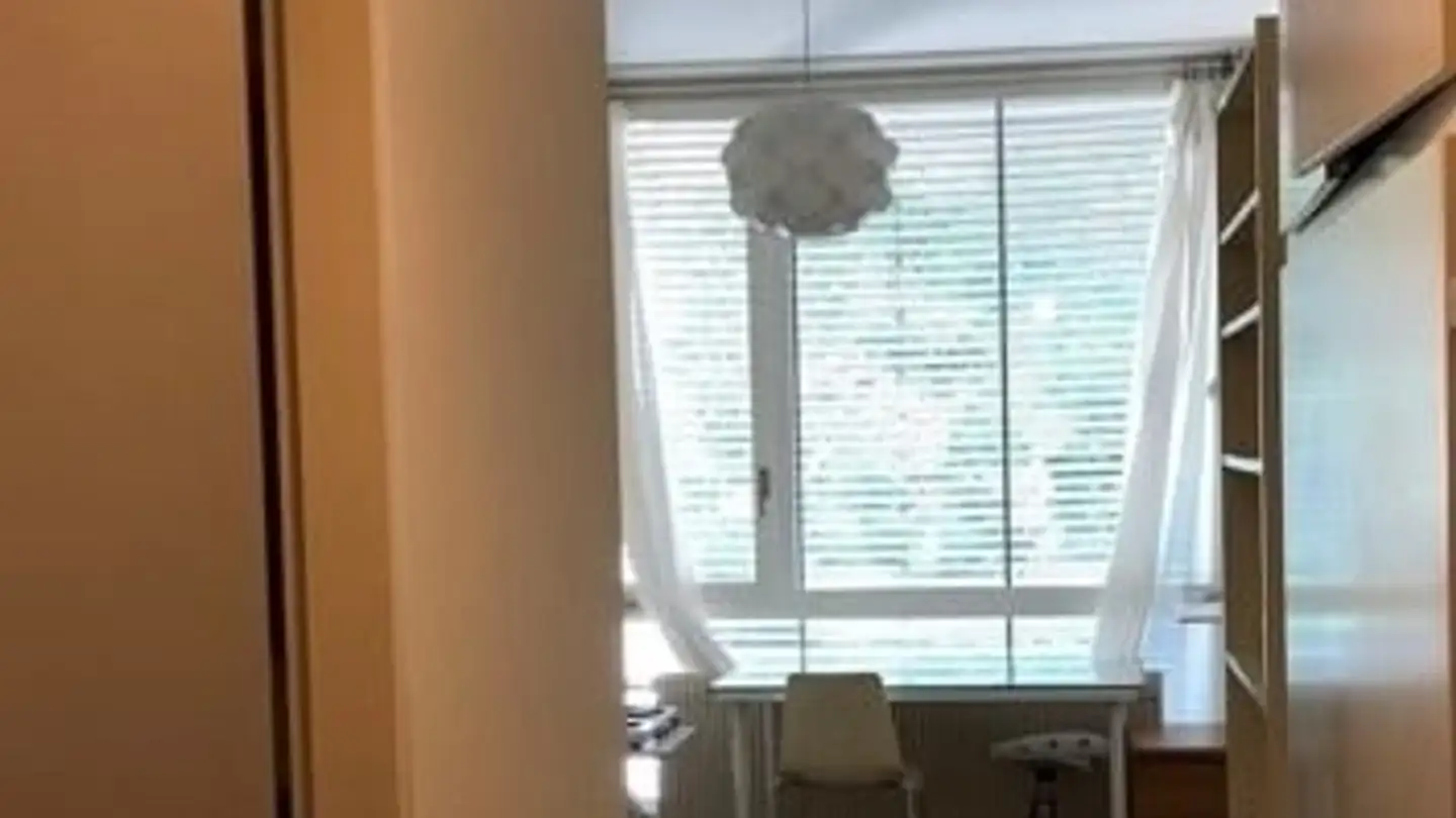 Chambre à louer - Chemin De Beau-Rivage, 1006 Lausanne - Photo 2