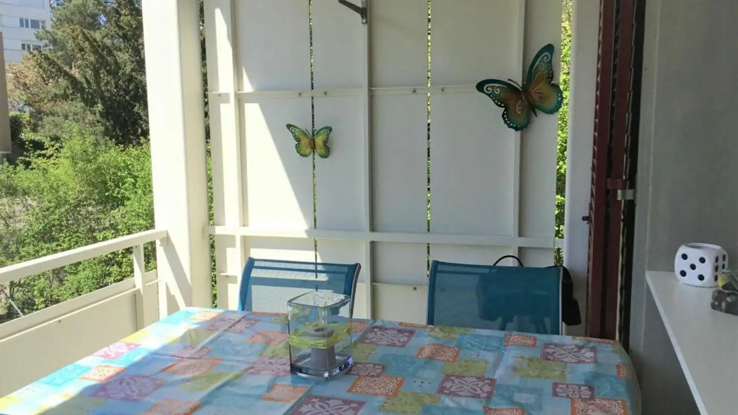 Wohnung mieten - Zündelgutstrasse, 8203 Schaffhausen - Foto 2