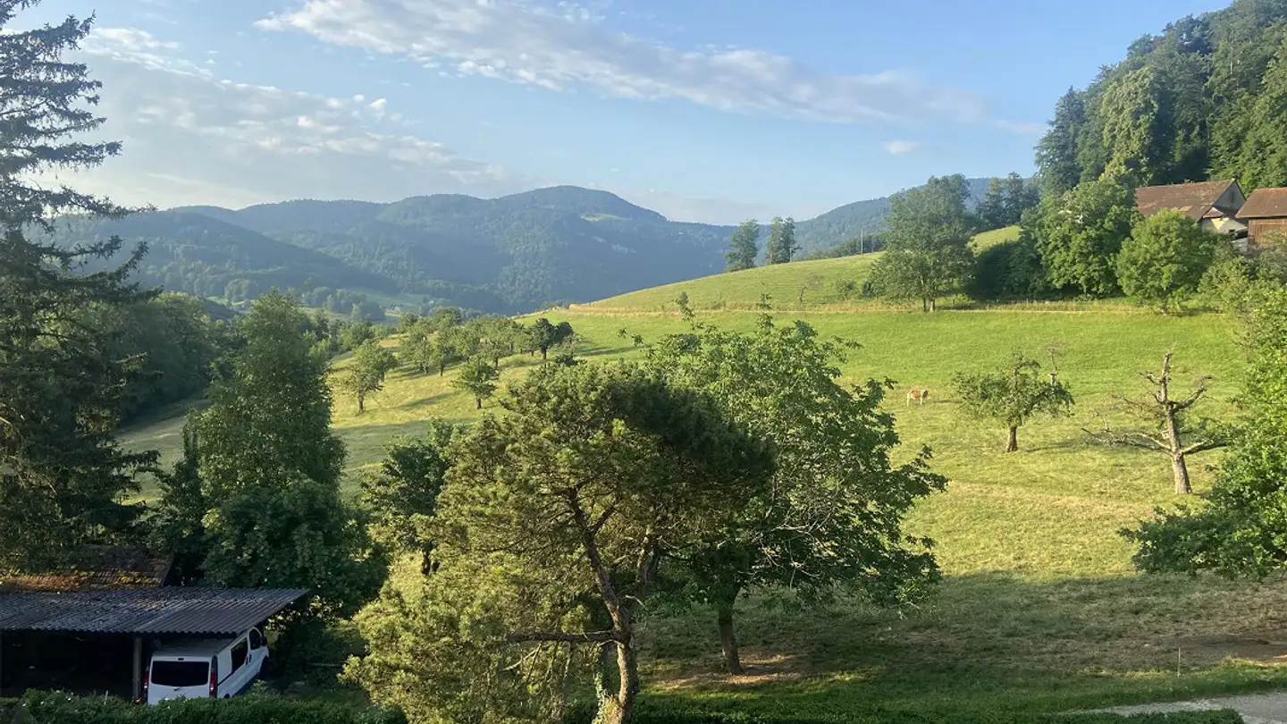 Appartamento in affitto - Eichenhof 224, 4418 Reigoldswil - Foto 4