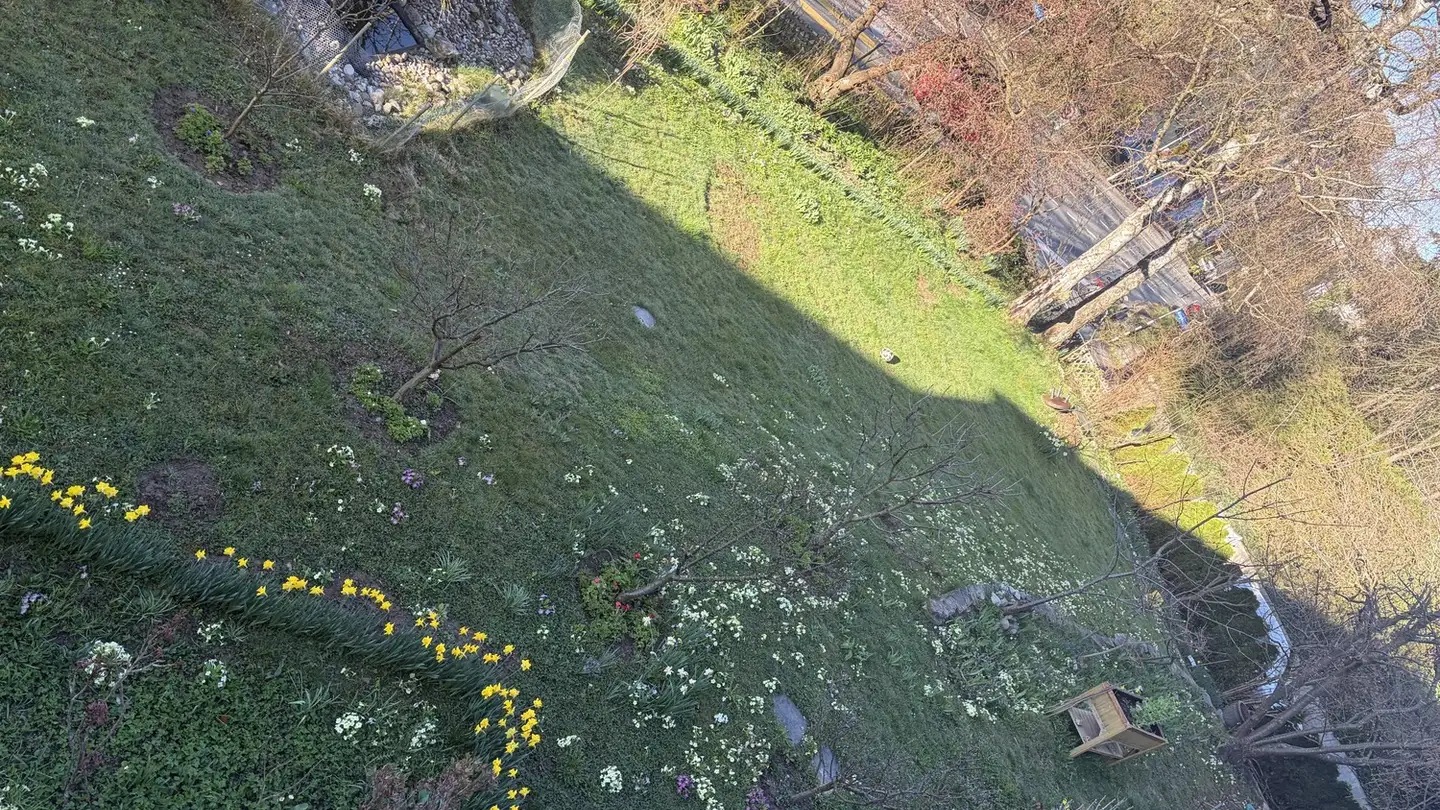 Appartement à louer - Bürglenstrasse 50, 3006 Bern - Photo 3