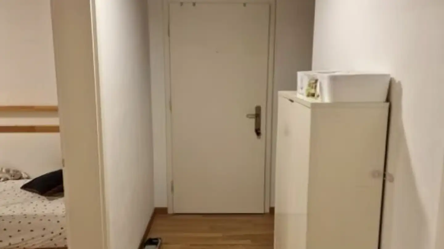Appartamento in affitto - Rapperswilerstrasse 68a, 8630 Rüti ZH - Foto 3