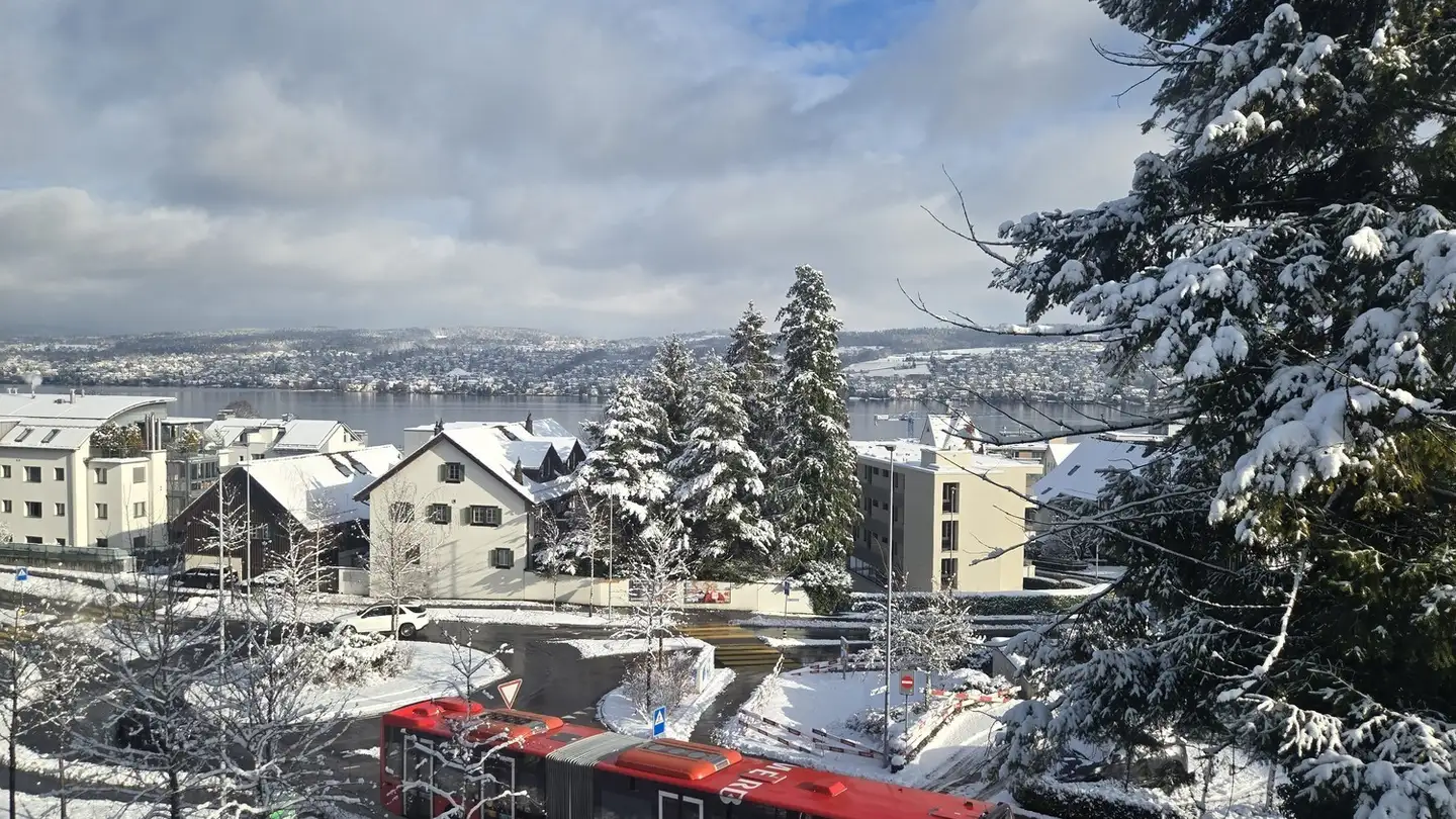 Appartamento ammobiliato in affitto - 8800 Thalwil - Foto 4