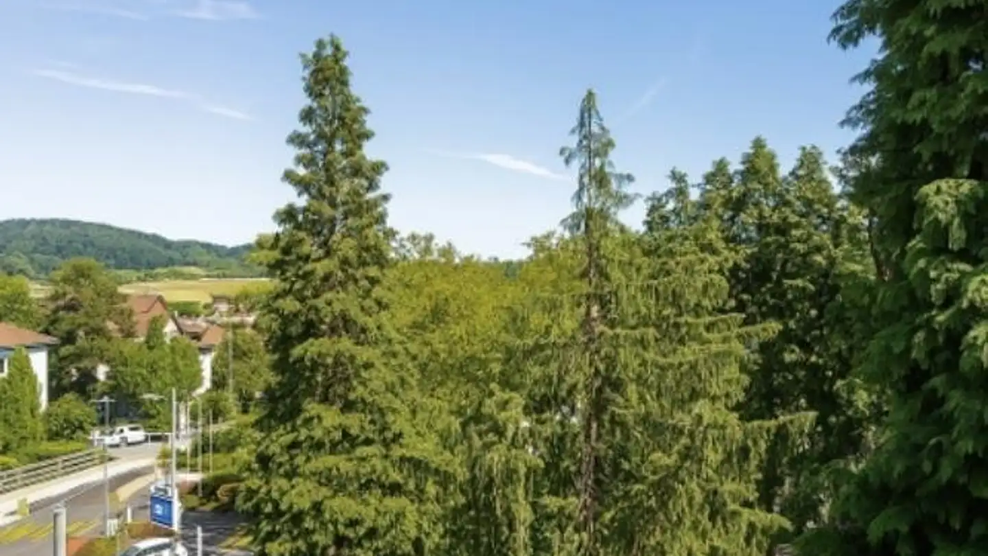 Apartment for rent - Charlottenweg 1, 8212 Neuhausen am Rheinfall - Photo 2