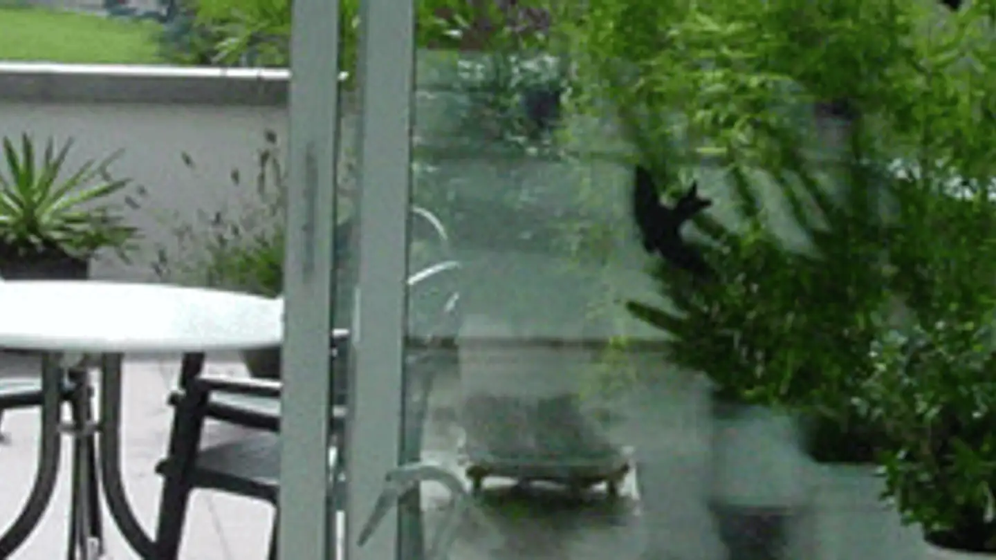 Appartement en terrasse à vendre - Weid, 6313 Menzingen