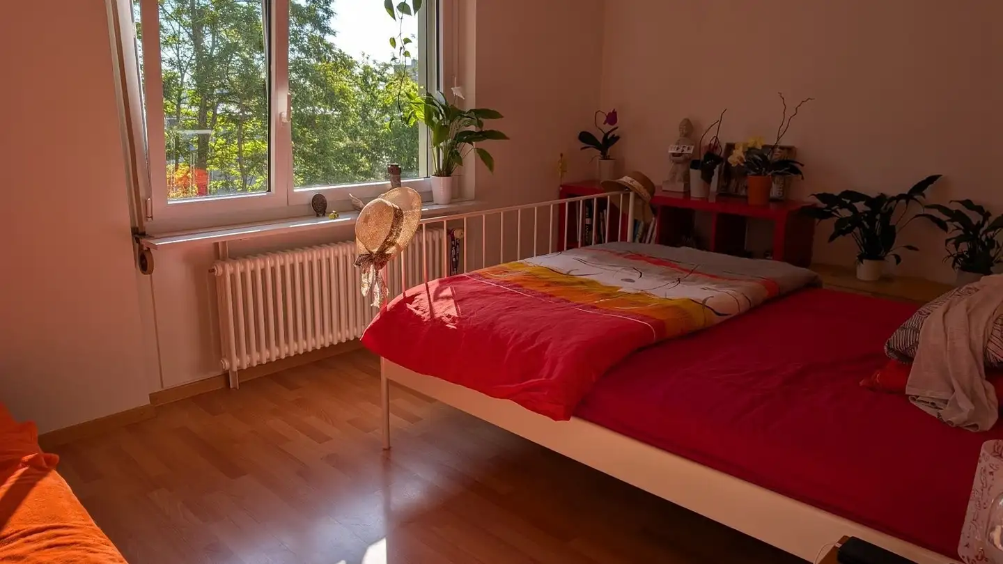 Appartamento in affitto - Lingerizstrasse 66b, 2540 Grenchen - Foto 2