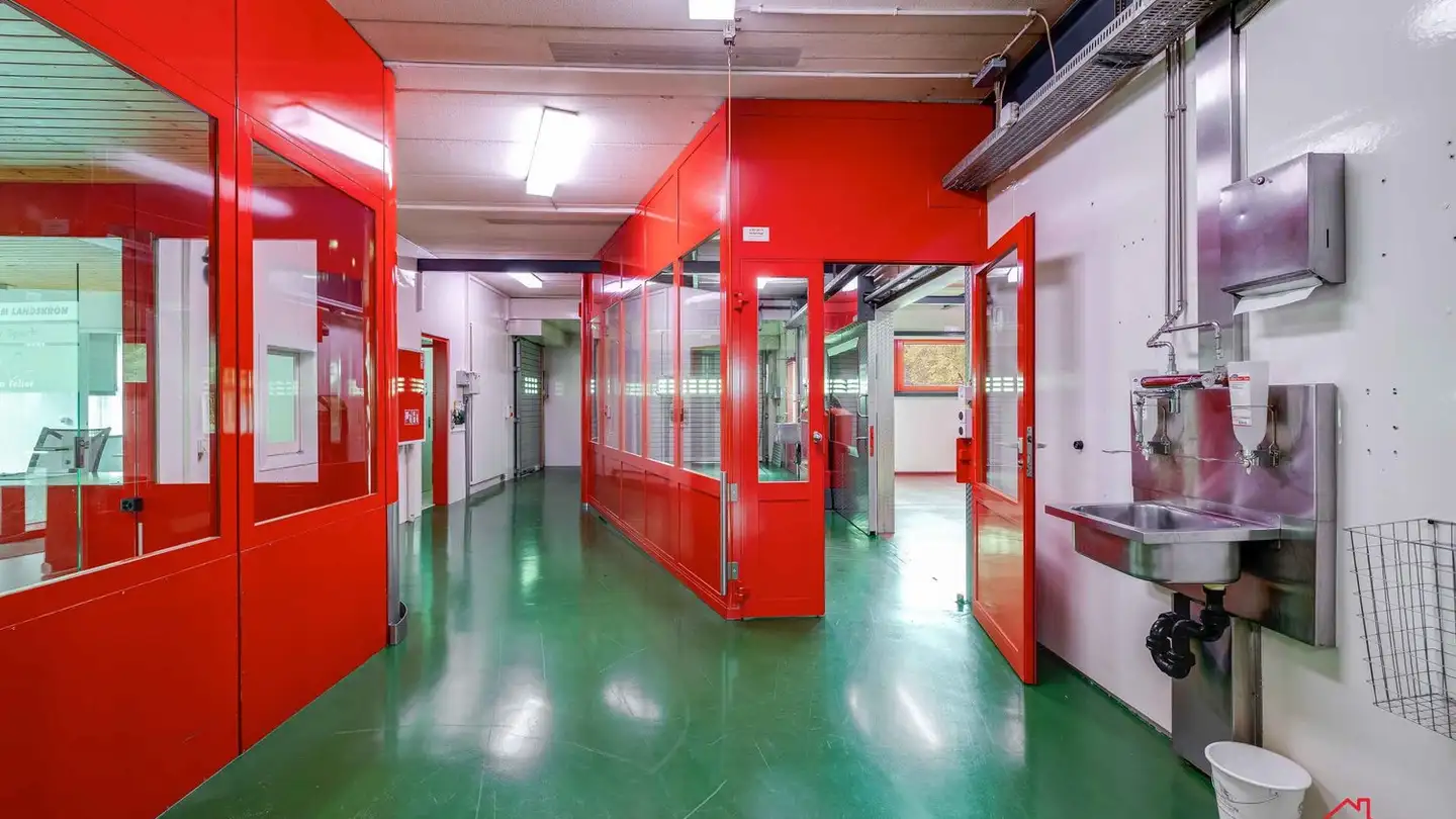 Commercial for sale - Talstrasse 55, 4112 Flüh - Photo 4