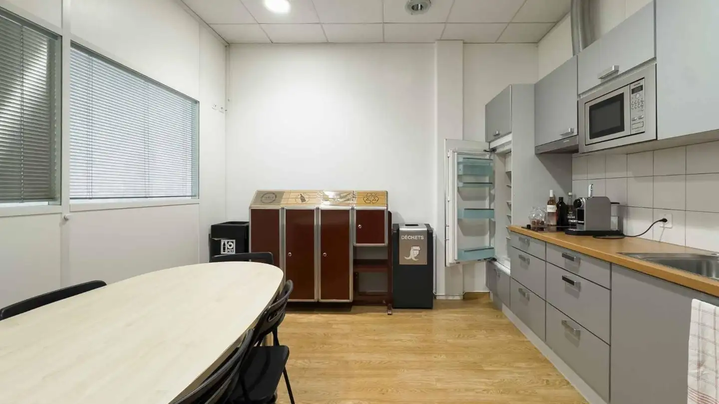 Office space for rent - Chemin Du Château-Bloch 10, 1219 Le Lignon - Photo 4