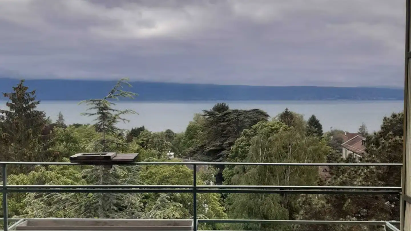 Single room for rent - Chemin De Montolivet 19, 1006 Lausanne - Photo 2