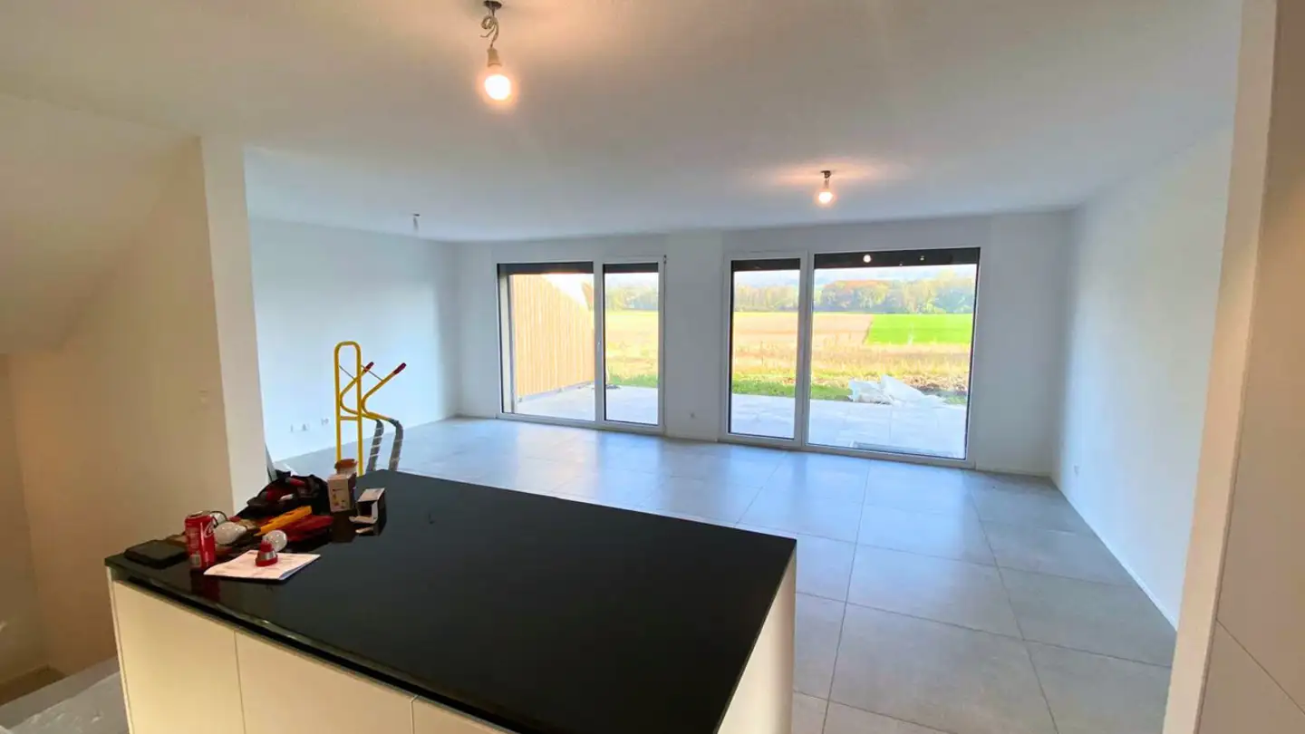 Single house for rent - Route De Lucens 55, 1527 Villeneuve FR