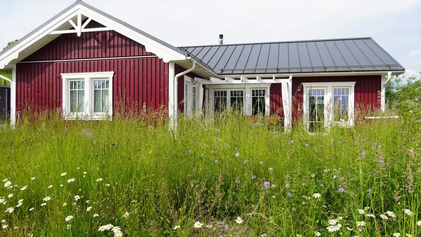 Furnished apartment for rent - 4913 Bannwil