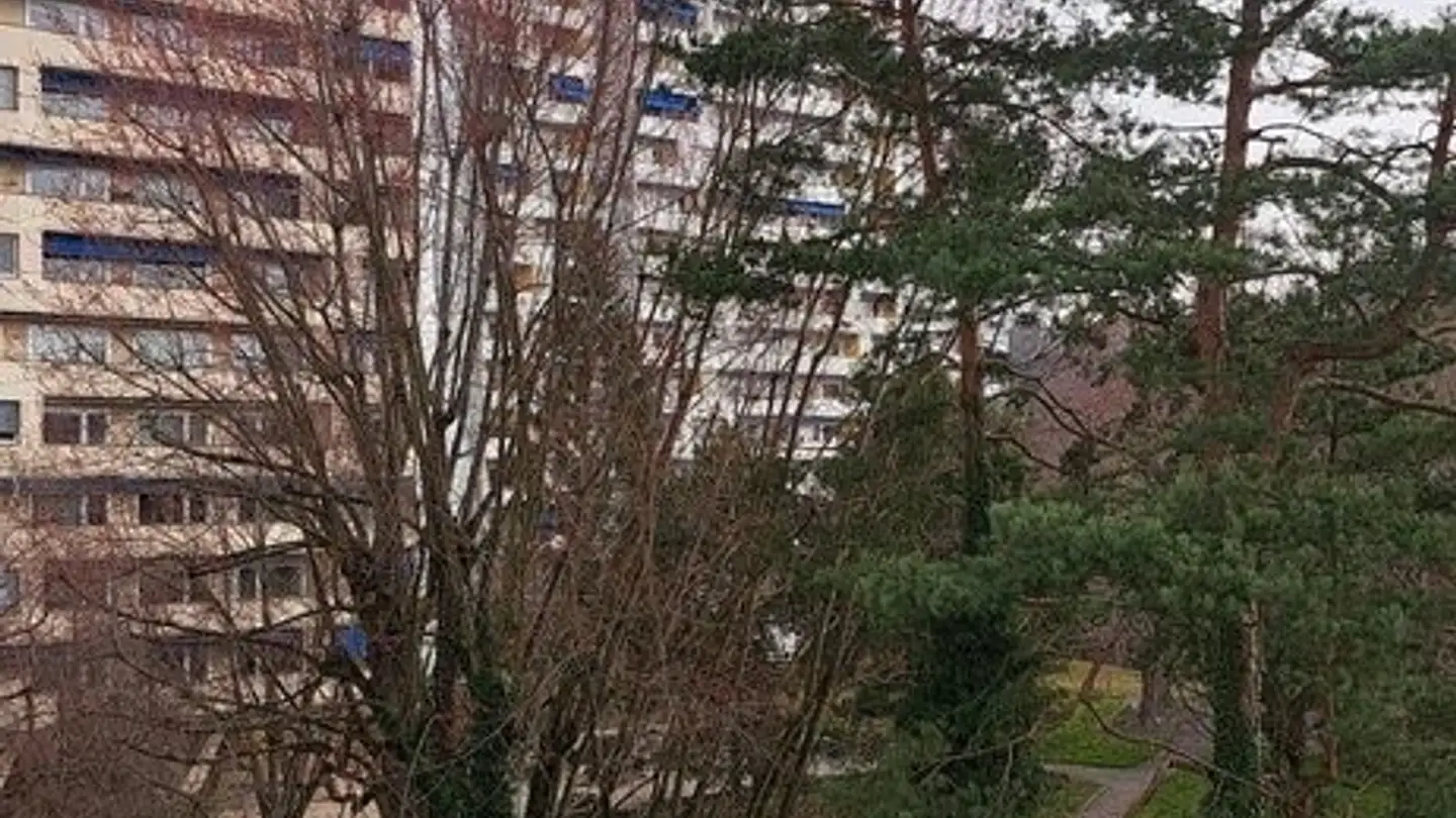 Apartment for rent - Avenue De Valmont 12, 1010 Lausanne - Photo 4