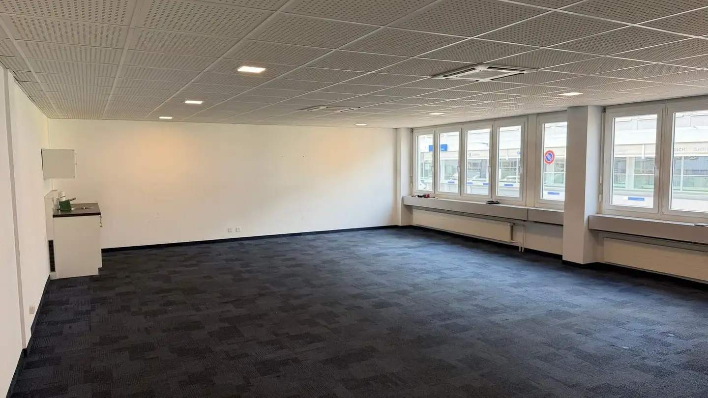 Commercial for rent - Brandbachstrasse 7, 8305 Dietlikon