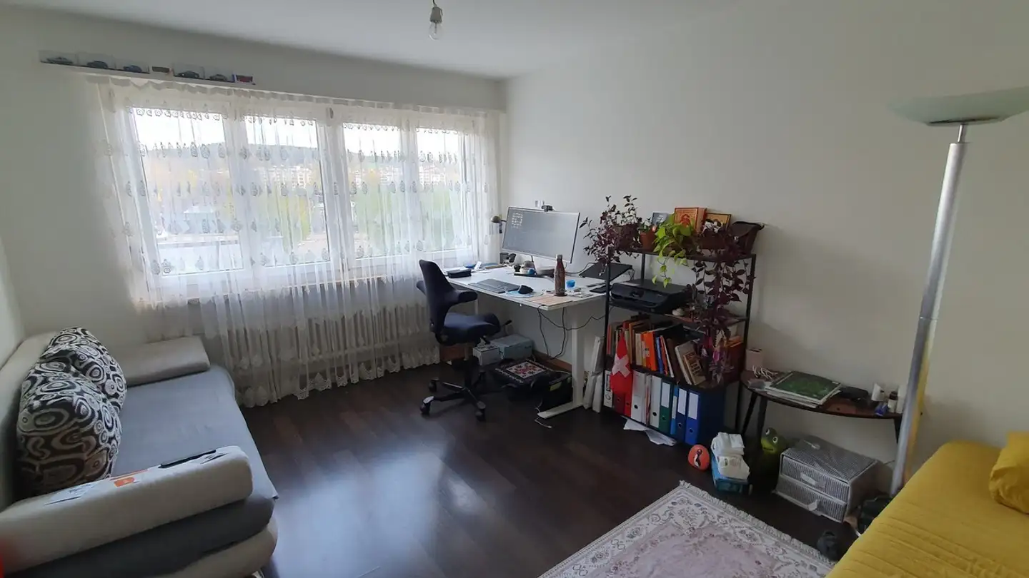 Single room for rent - Hulfteggstrasse 33, 8400 Winterthur