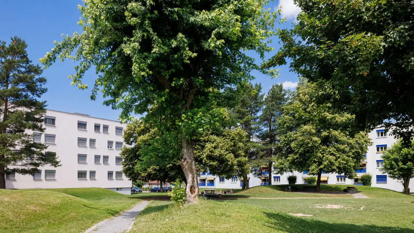 Appartamento in affitto - Chemin De La Chaussiaz, 1040 Echallens - Foto 4