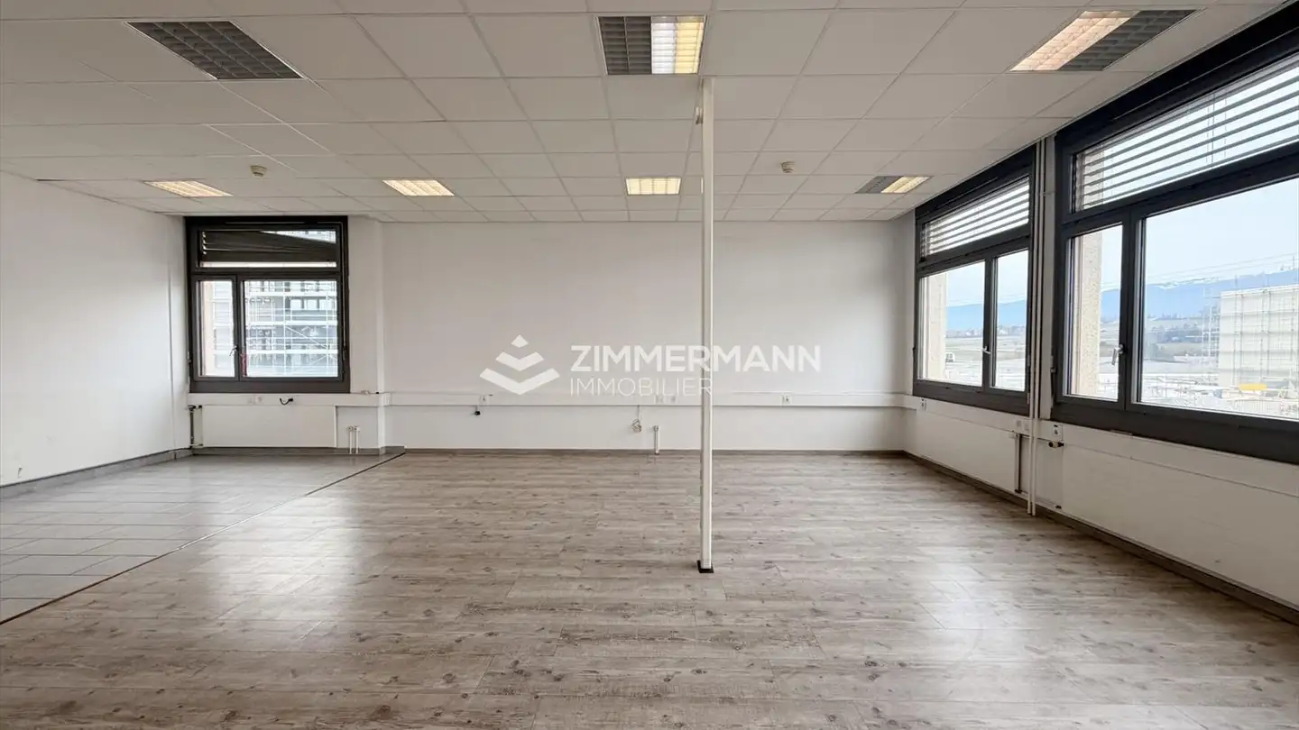 Commercial for rent - Rue Du Pré-Bouvier 27, 1242 Satigny
