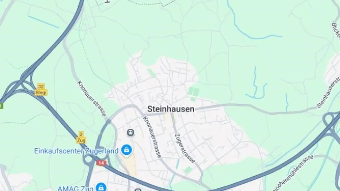 Wohnung kaufen - 6312 Steinhausen