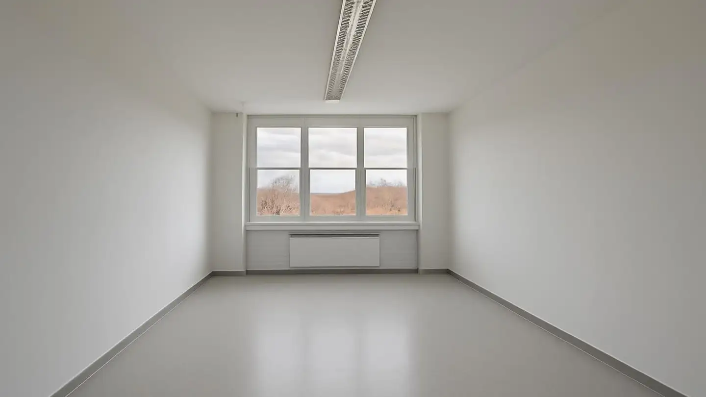 Bureau à louer - Schützengraben 20, 8200 Schaffhausen - Photo 4