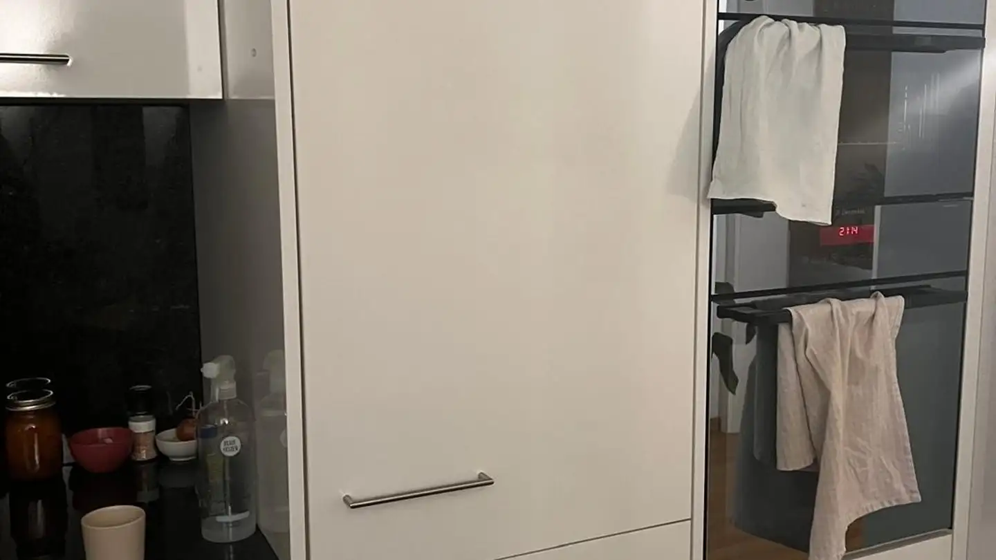 Appartamento ammobiliato in affitto - 8037 Zürich - Foto 3