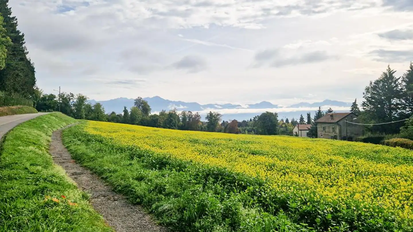 Villa kaufen - 1008 Prilly - Foto 3