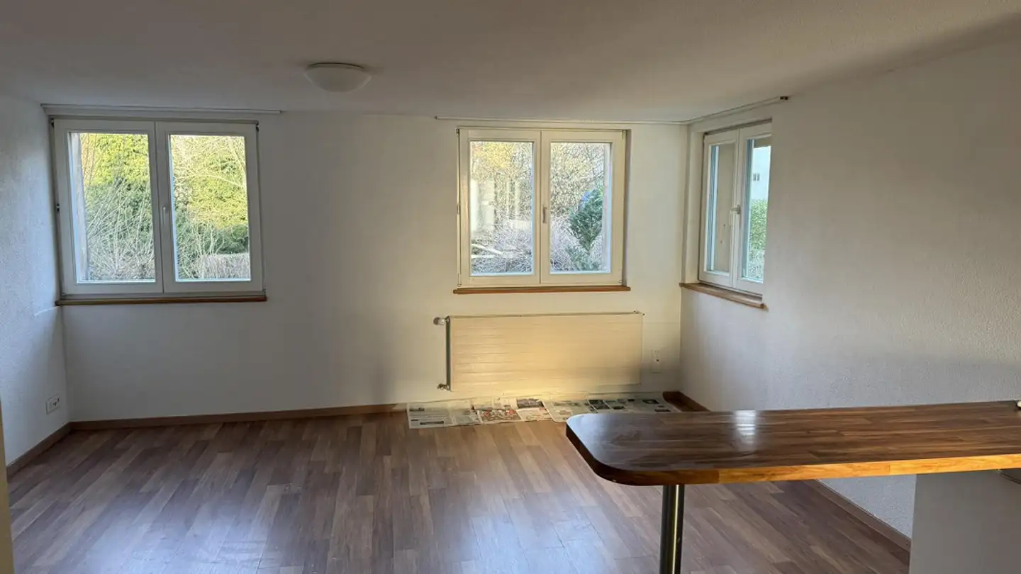 Wohnung mieten - Weierstrasse 18a, 8266 Steckborn - Foto 2