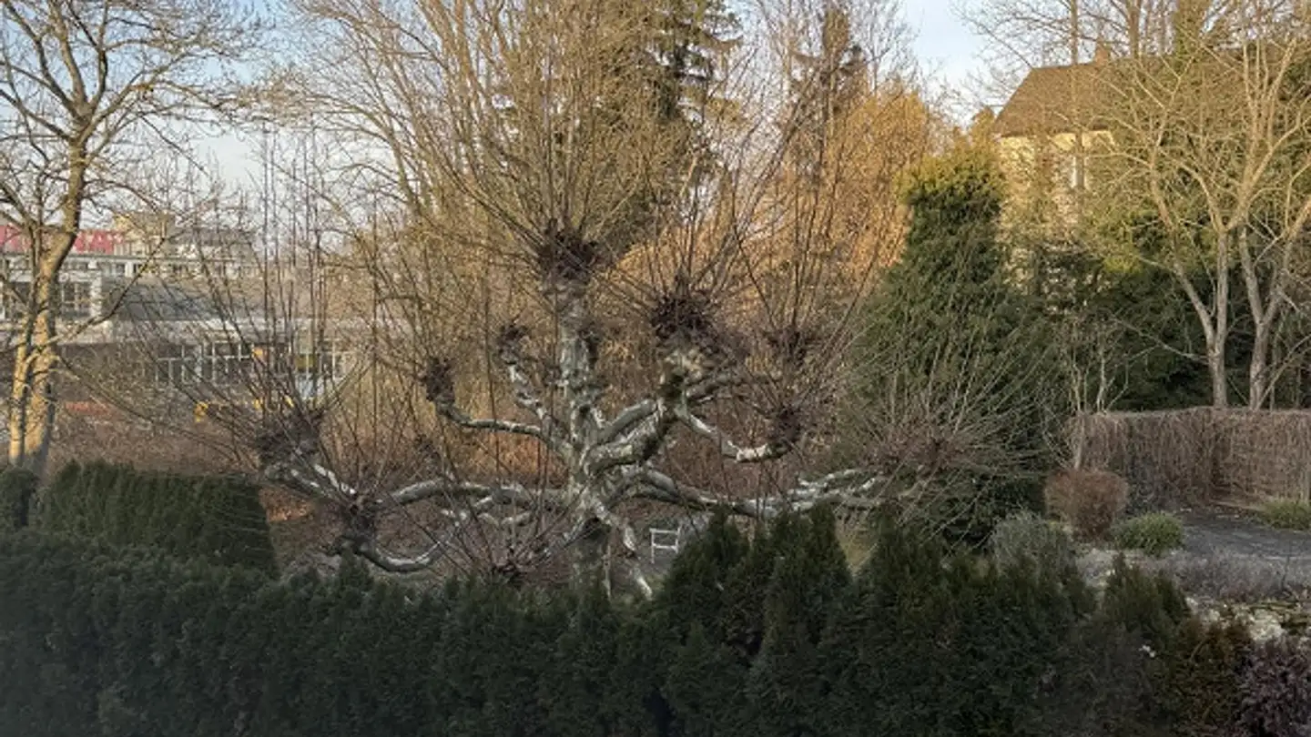 Wohnung mieten - Weierstrasse 18a, 8266 Steckborn - Foto 3