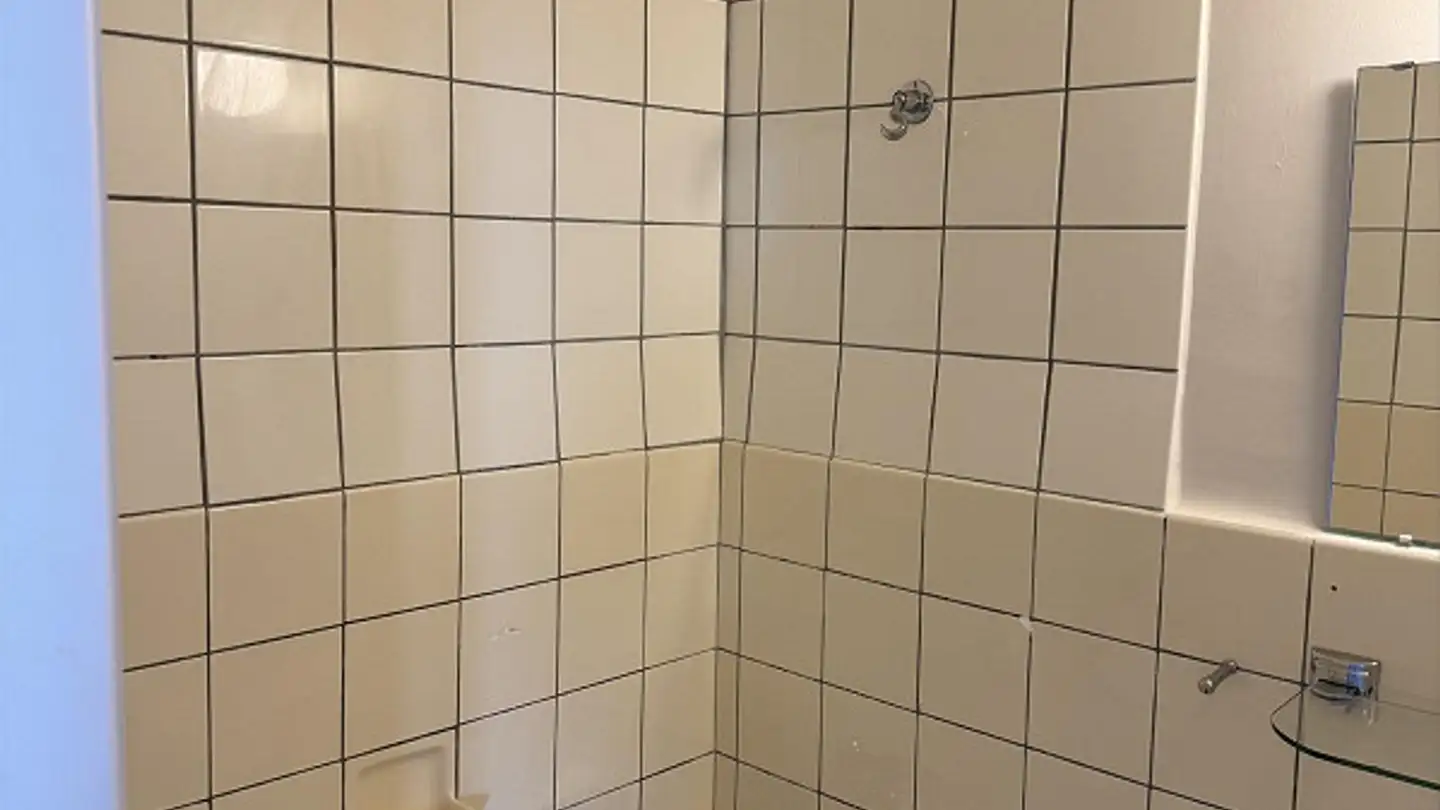Appartement à louer - Rue De L'indiennerie 3, 1207 Genève - Photo 2
