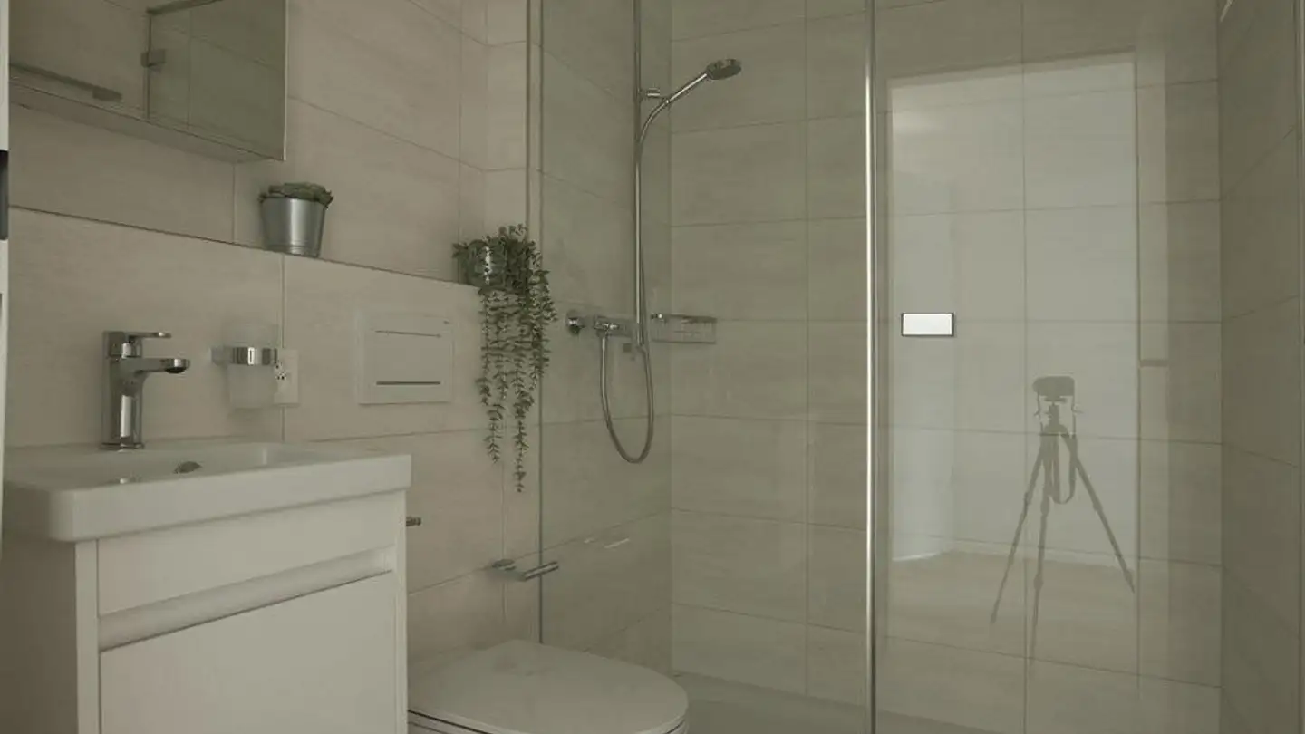 Penthouse for rent - Tiergartenstrasse 50c, 4410 Liestal - Photo 4