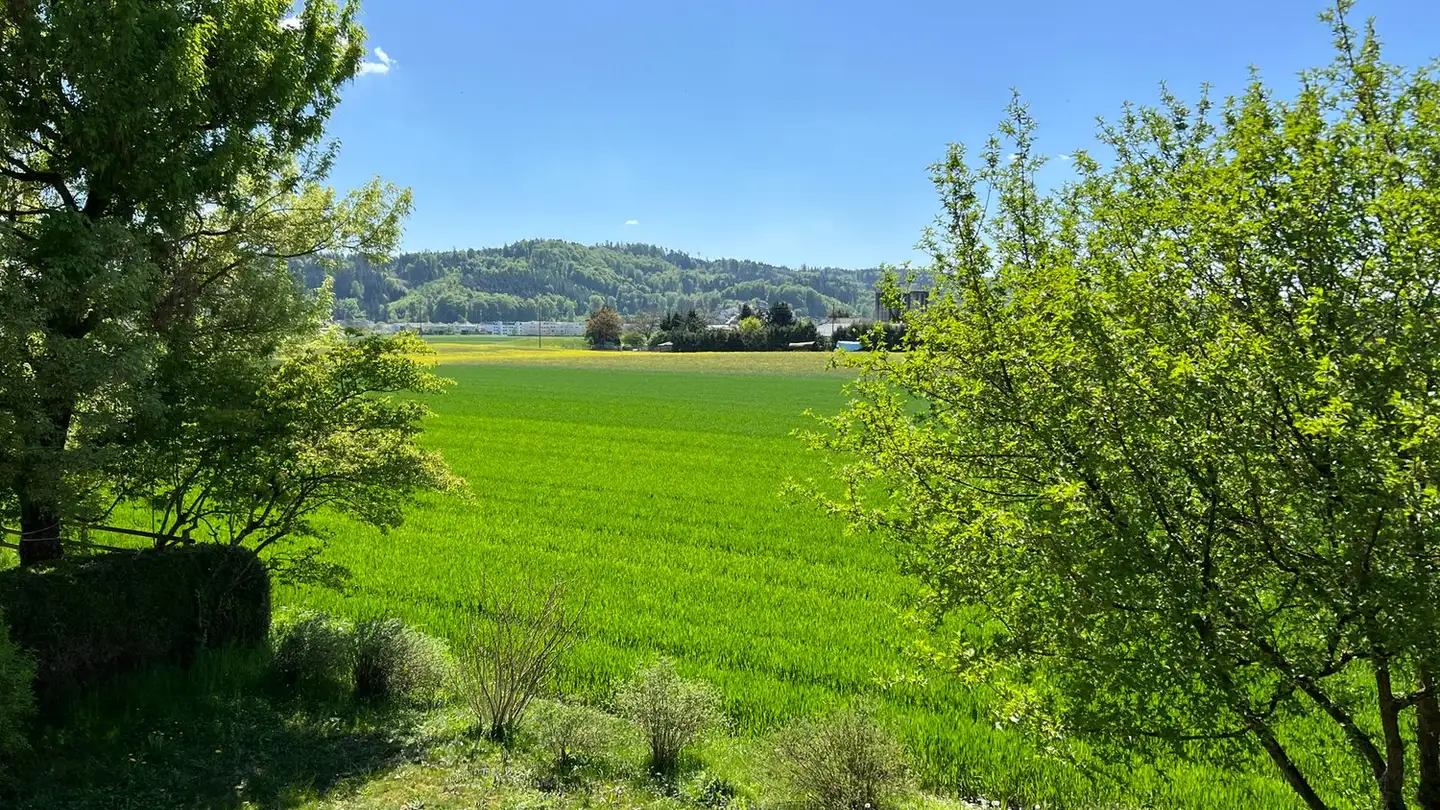 Ferme à vendre - Fliederweg 10, 2556 Schwadernau - Photo 3