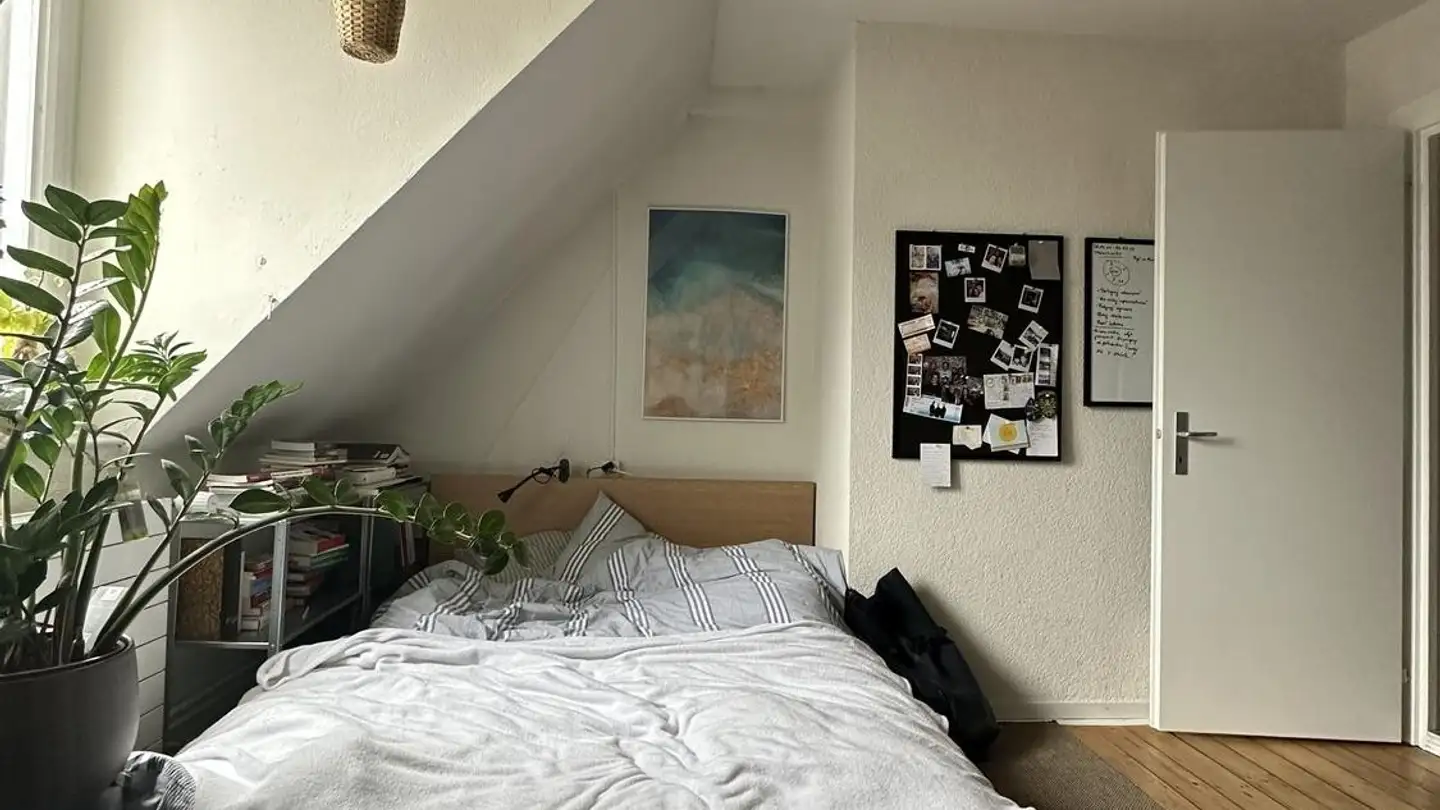 Stanza singola in affitto - Engelstrasse 60, 8004 Zürich - Foto 3
