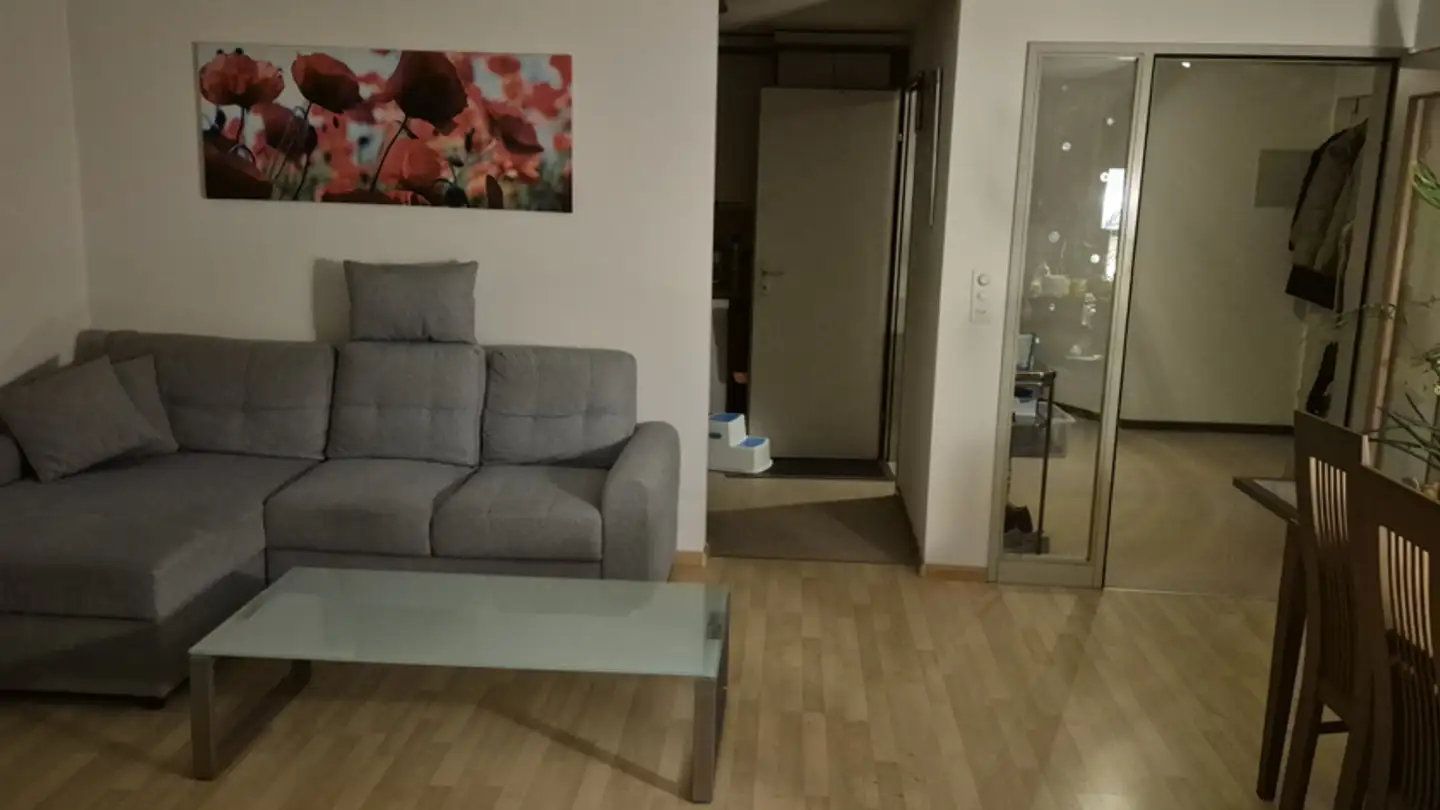 Appartamento in affitto - Mühlegasse 3, 4410 Liestal - Foto 3