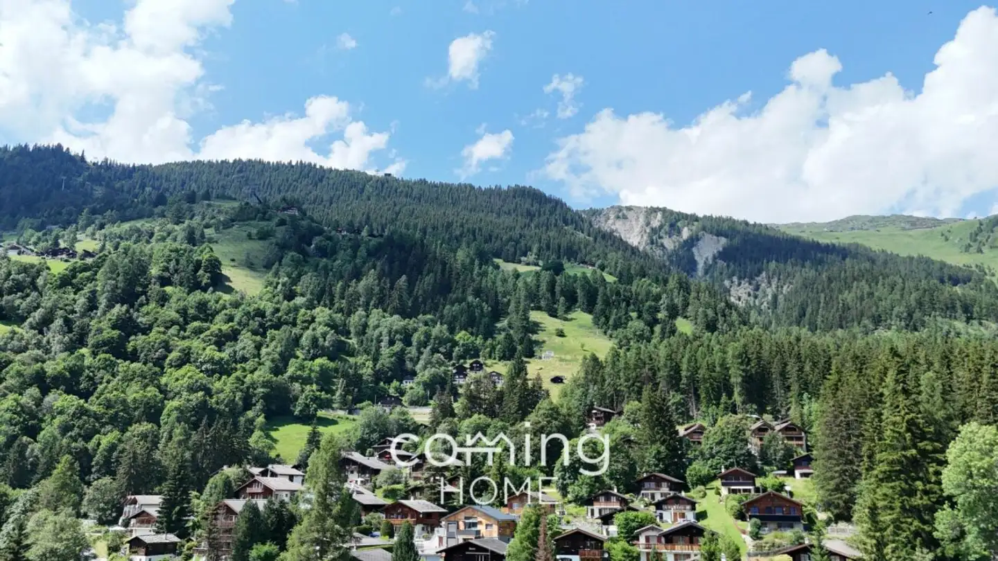 Restaurant à vendre - Rischinustrasse 39a, 3914 Blatten b. Naters - Photo 3