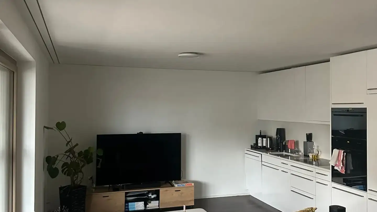 Furnished apartment for rent - Turbinenstrasse 37, 8005 Zürich - Photo 3