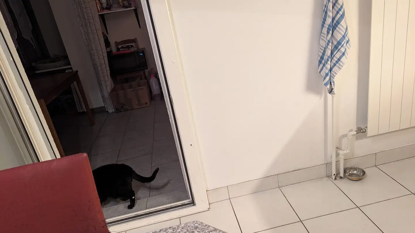 Zimmer mieten - 4054 Basel - Foto 4