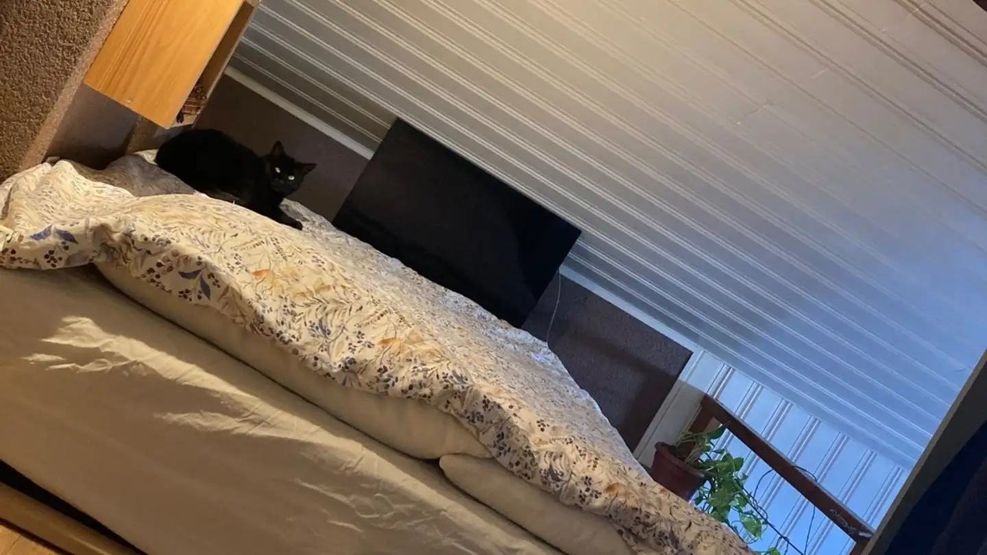 Apartment for rent - 1950 Sion