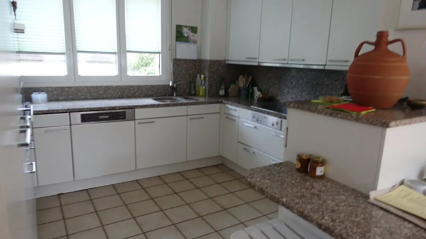 Single house for sale - Schrannstrasse 11, 5107 Schinznach Dorf - Photo 4