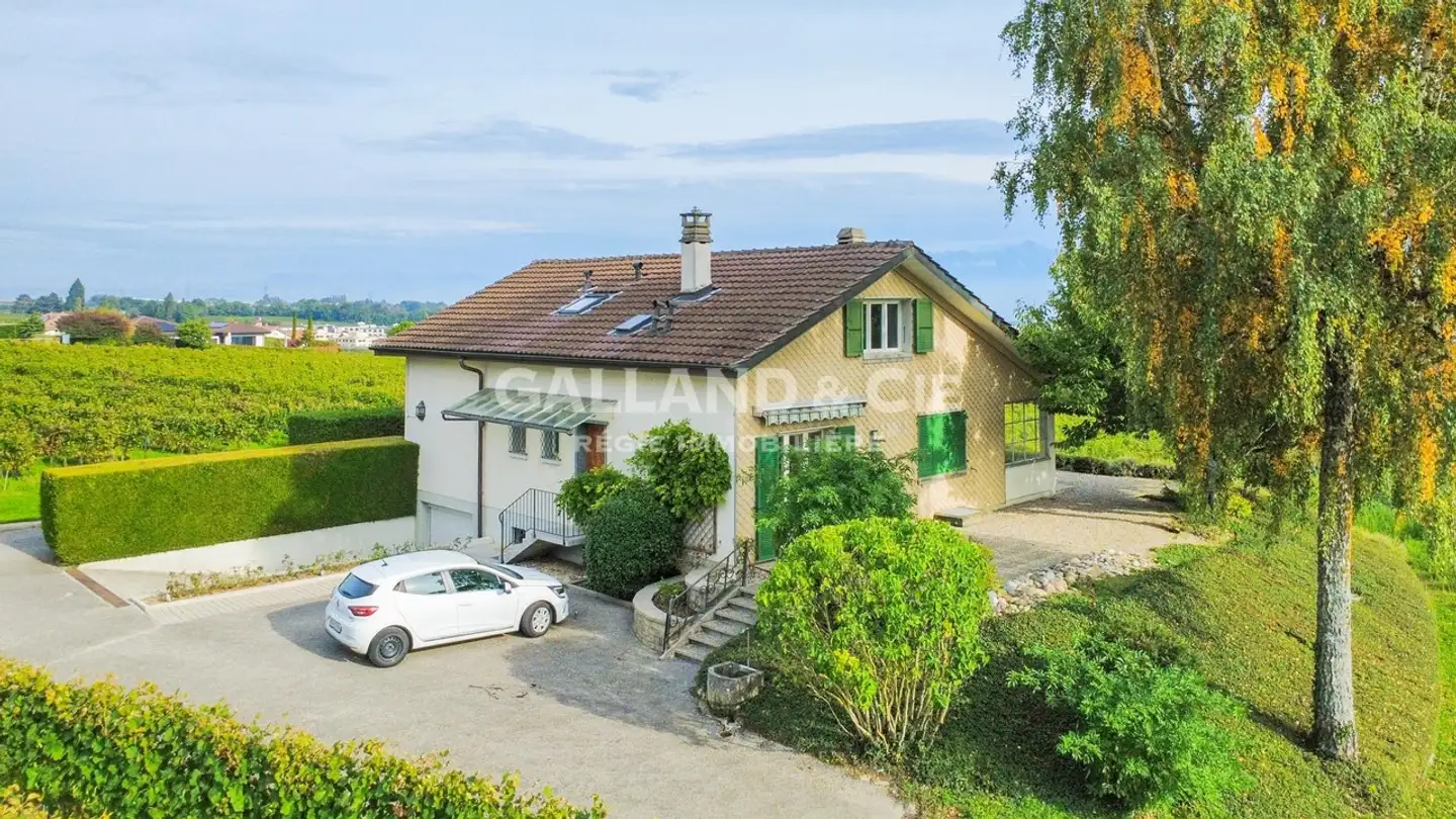 Villa in affitto - Chemin De Neppens, 1170 Aubonne - Photo 2