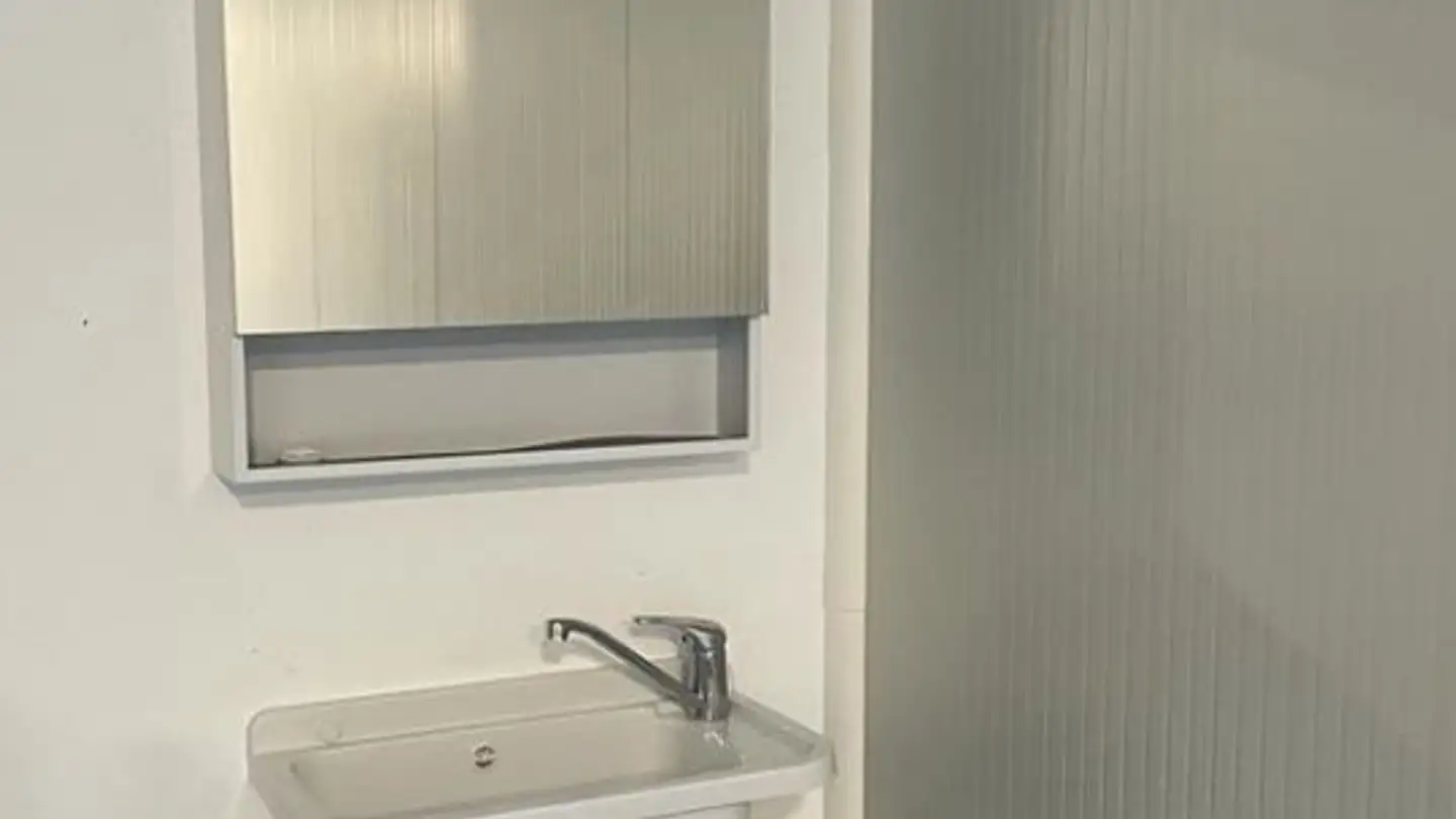 Commercial for sale - Zone Industrielle, 1844 Villeneuve VD - Photo 3