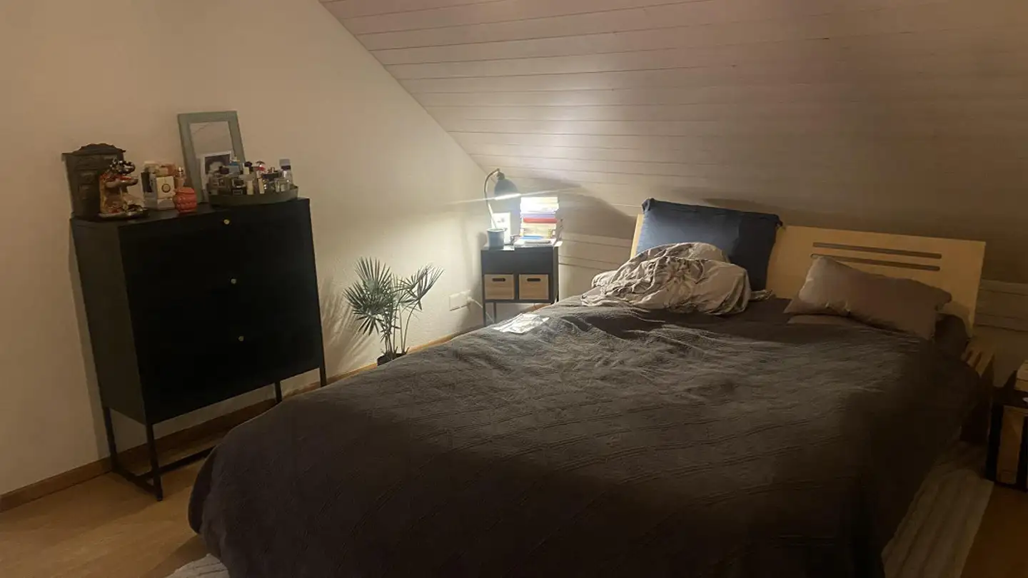 Appartamento in affitto - 6312 Steinhausen - Foto 3