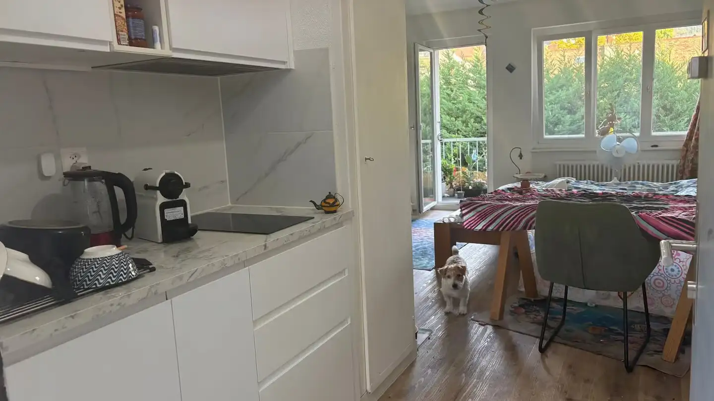Studio for rent - Grand-Rue 32, 1180 Rolle - Photo 4