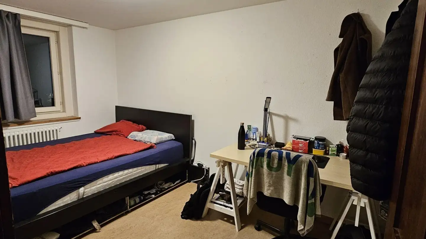 Chambre à louer - Dreispitz 165, 8050 Zürich - Photo 2