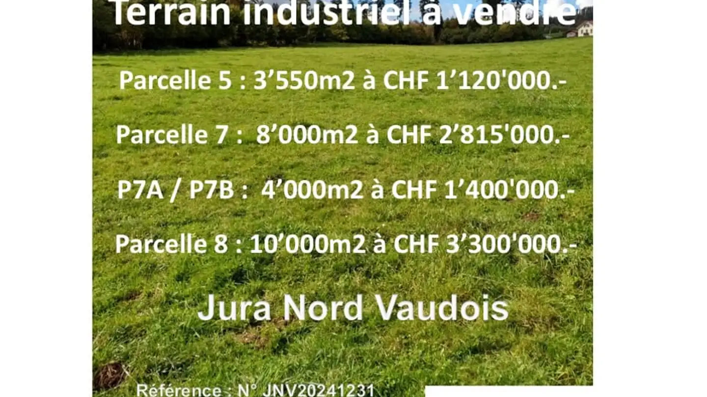 Terreno edificabile in vendita - 1323 Romainmôtier - Foto 3