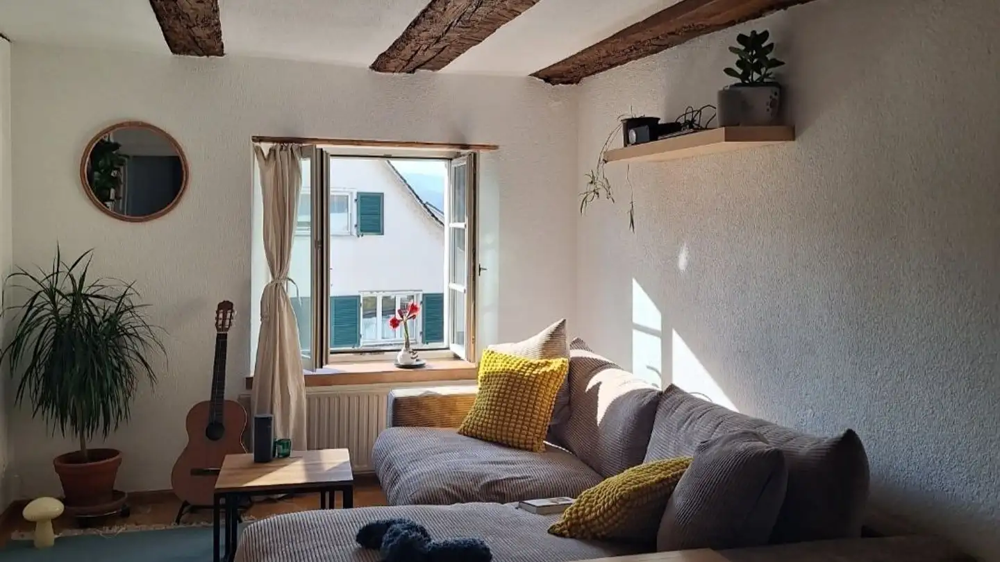 Appartamento in affitto - 4143 Dornach - Foto 4