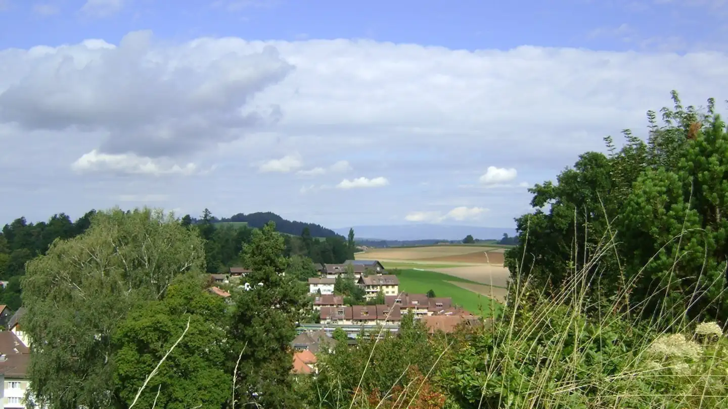 Maison en terrasse à louer - Haltenstutz 7, 3145 Niederscherli - Photo 3