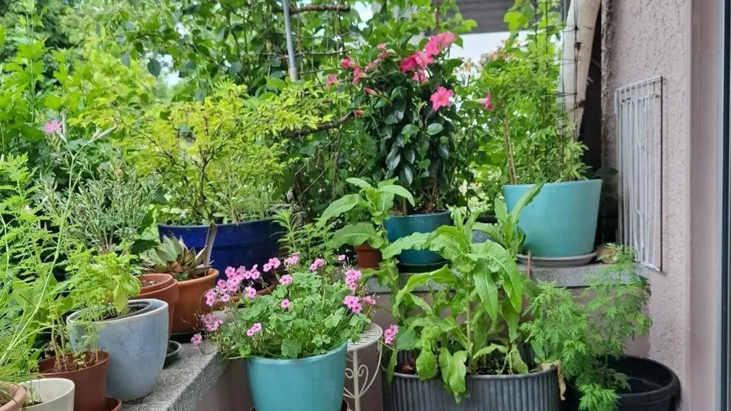 Appartamento in affitto - Stettlerstrasse 15, 3006 Bern