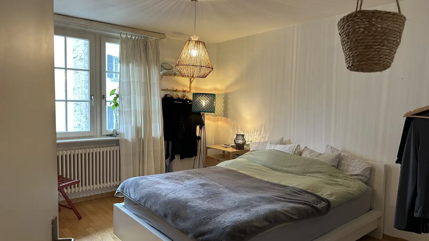 Apartment for rent - Zurlindenstrasse 85, 8003 Zürich - Photo 4