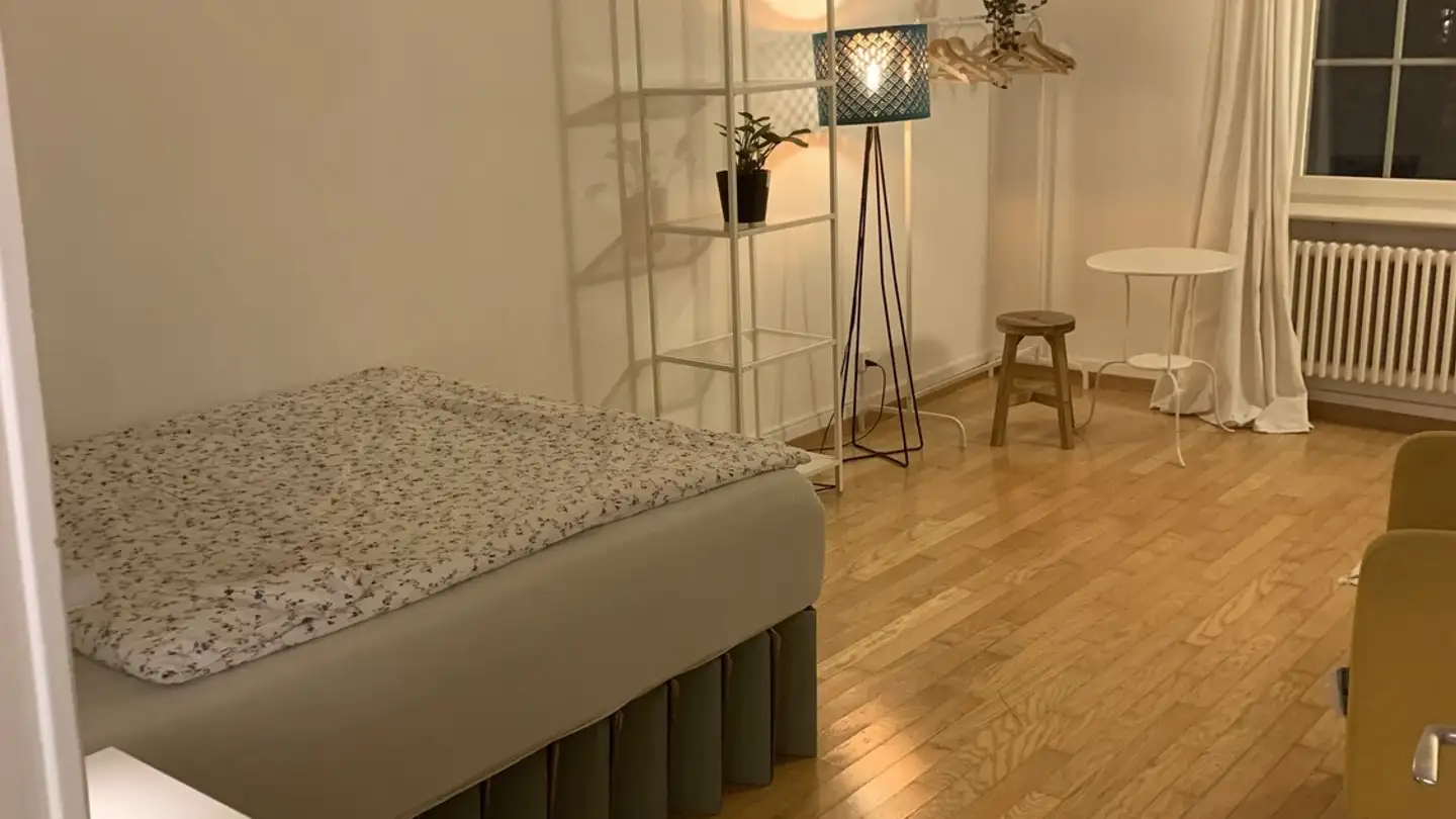 Apartment for rent - Zurlindenstrasse 85, 8003 Zürich - Photo 2