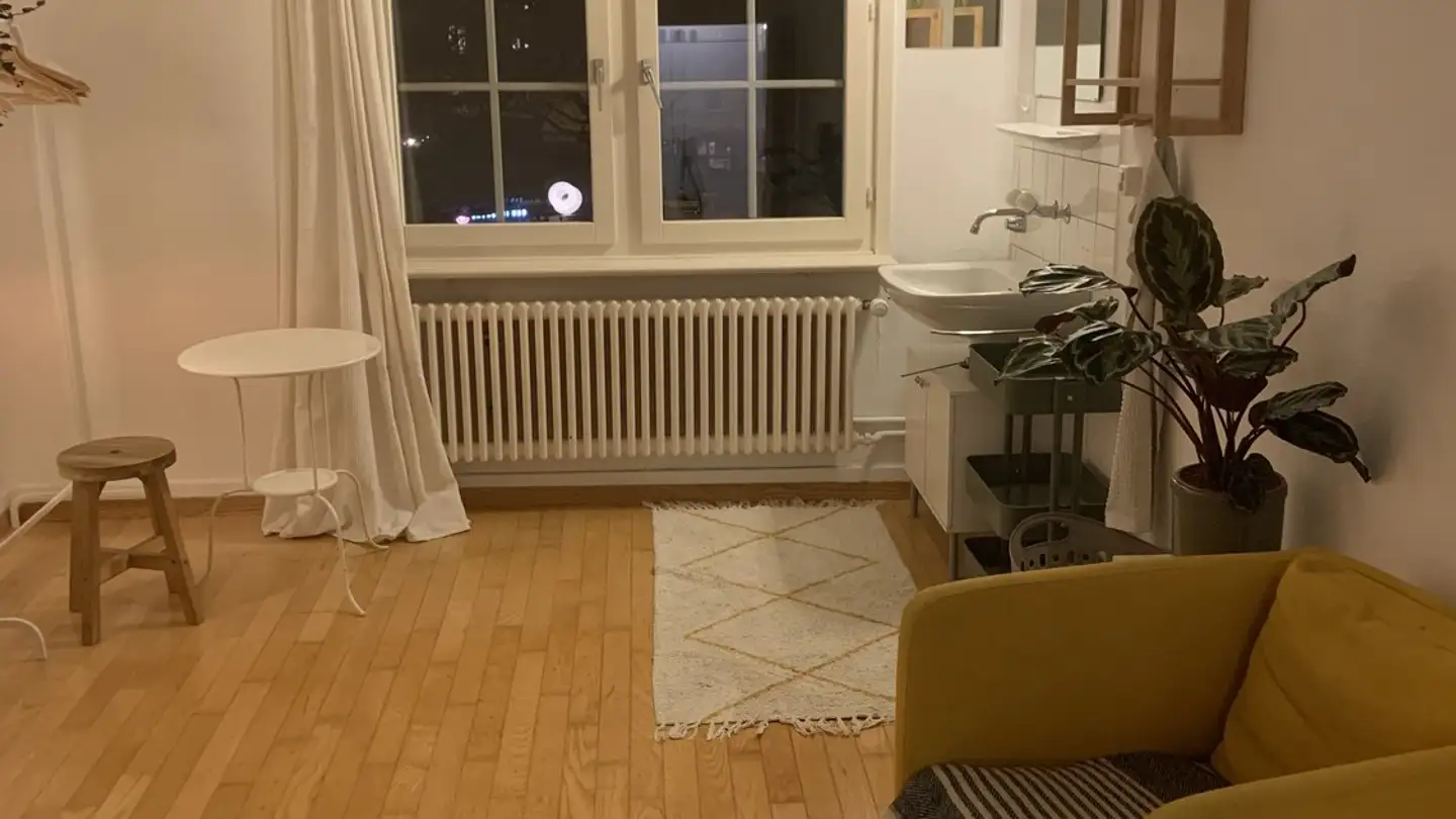 Apartment for rent - Zurlindenstrasse 85, 8003 Zürich - Photo 3