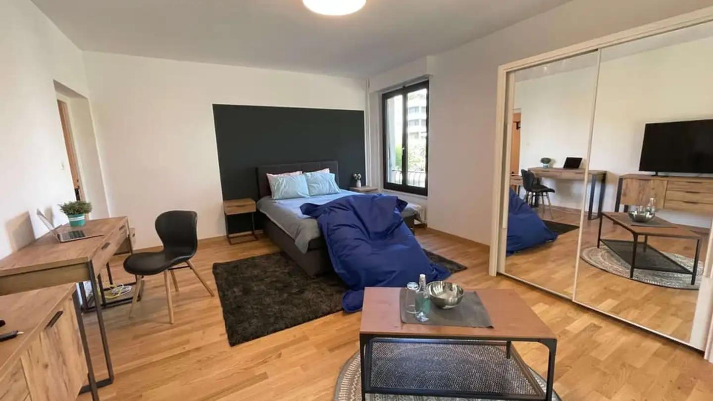 Appartamento in affitto - Chemin De L' Esplanade, 1214 Vernier - Photo 3