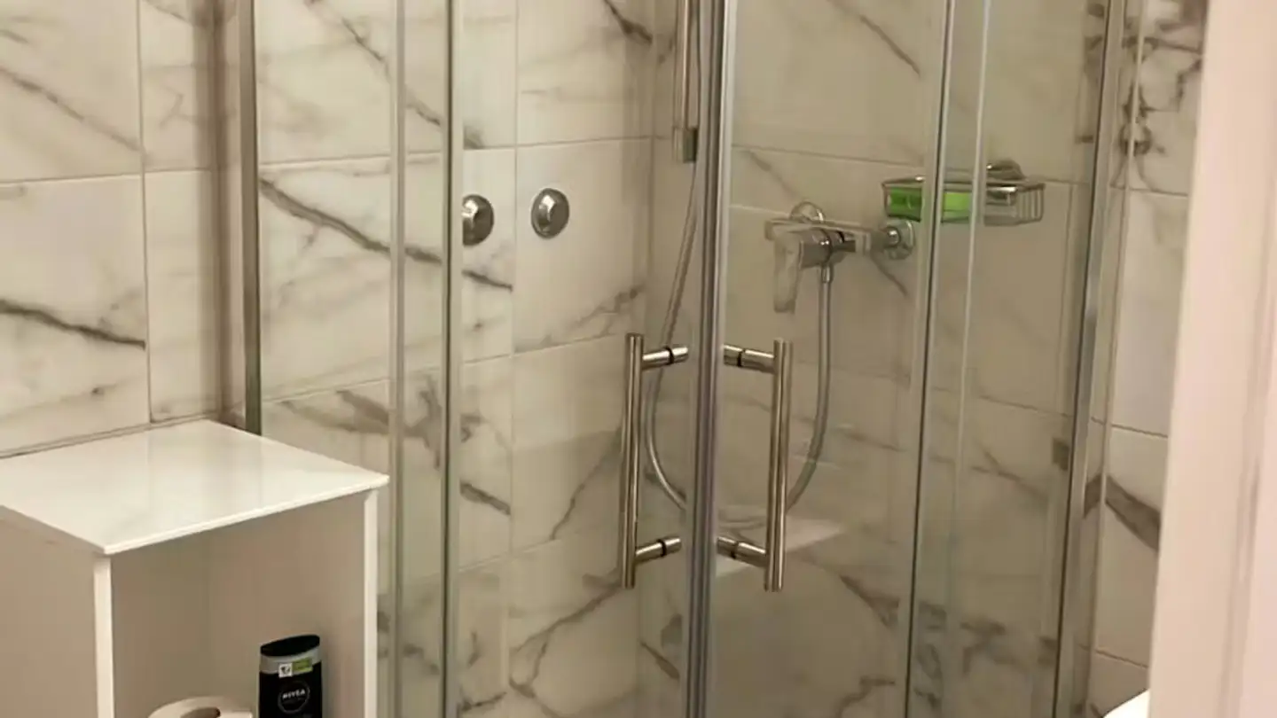 Apartment for rent - Steinstrasse, 8003 Zürich - Photo 4