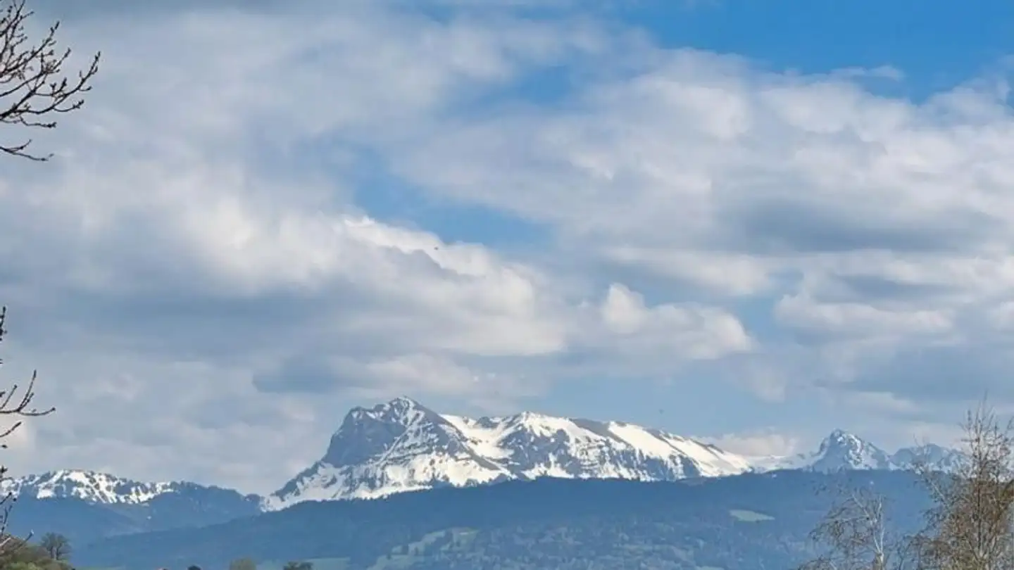 Wohnung mieten - Rue Pierre De Savoie 9, 1680 Romont FR - Foto 3